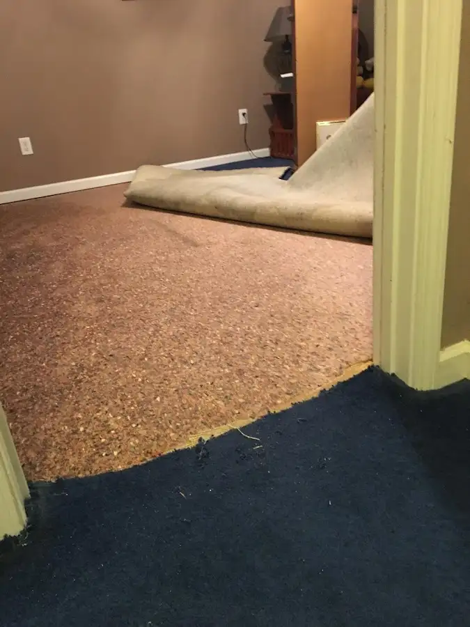 Carpet pad removal revealing water damage during Water Mitigation Services in Dublin