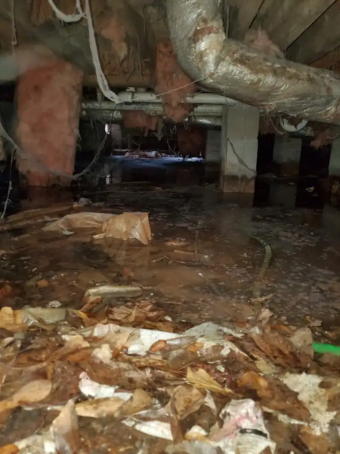 Crawl space flood assessment for Leak Detection & Repair in Dublin