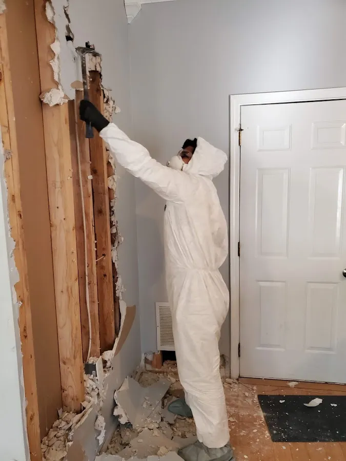 Water Damage Assessment in Dublin, CA